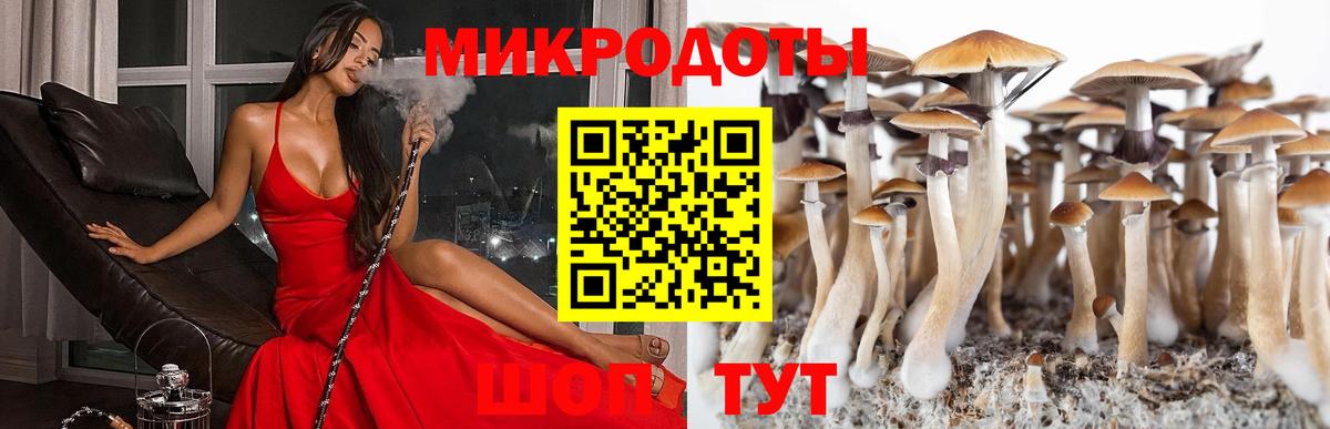 Псилоцибиновые грибы Psilocybine cubensis  Вход с VPN  Туймазы  Галлюциногенные грибы Psilocybe 